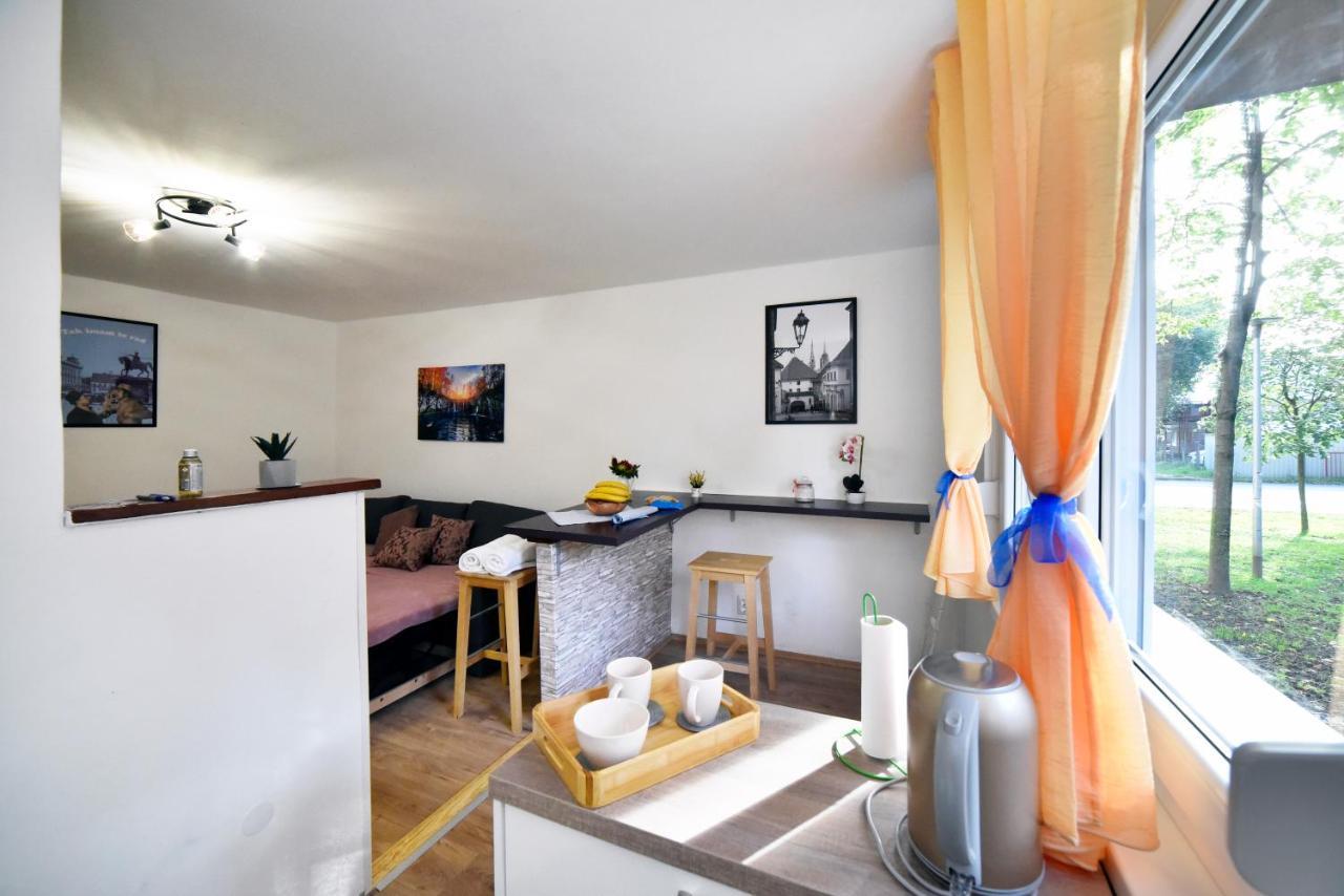 Studio Apartment Aneta Zagabria Esterno foto
